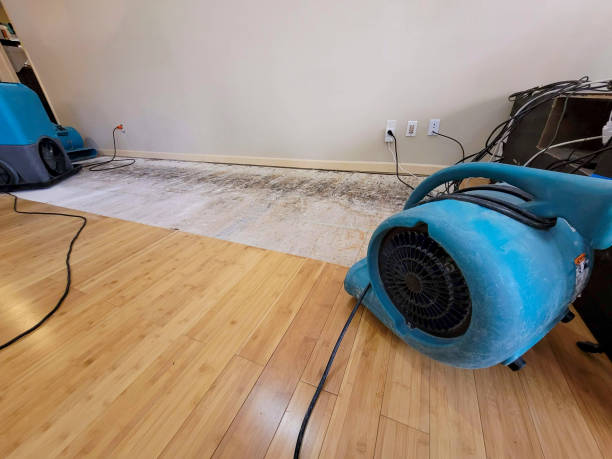 Professional Water Removal technician working in Roy, WA